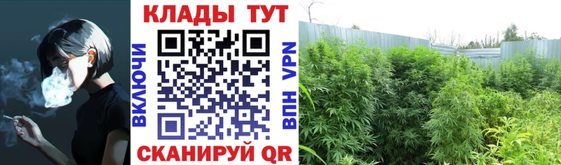 Цена Ясногорск Галлюциногенные грибы  Меф мяу мяу  MDMA  ГАШ  МАРИХУАНА  СК 