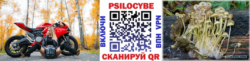 Псилоцибиновые грибы Cubensis  Ясногорск 